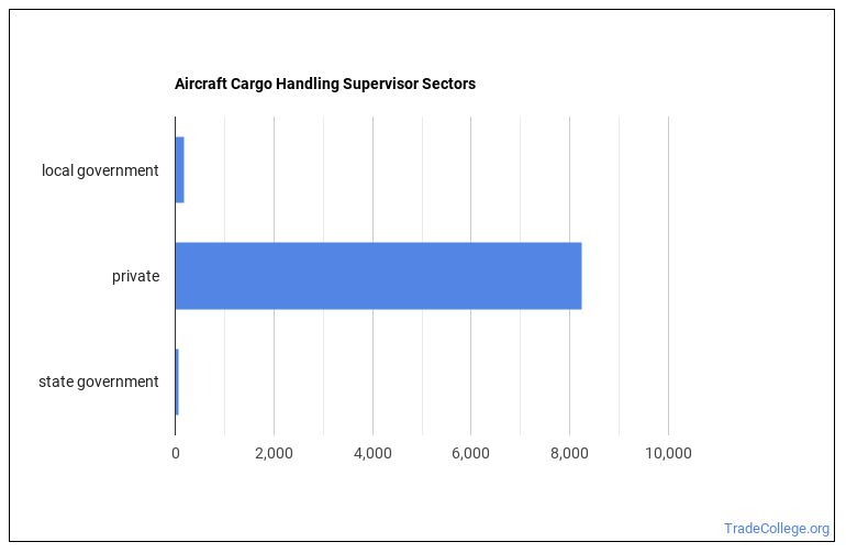 What's It Like Being an Aircraft Cargo Handling Supervisor? Trade College