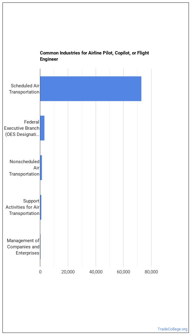 Airline Pilot, Copilot, or Flight Engineer Job Description & Duties ...