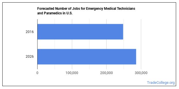 Emergency Medical Technician or Paramedic Job Description