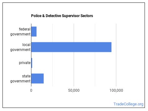 Career Profile: First-Line Supervisors of Police and Detectives - Trade ...