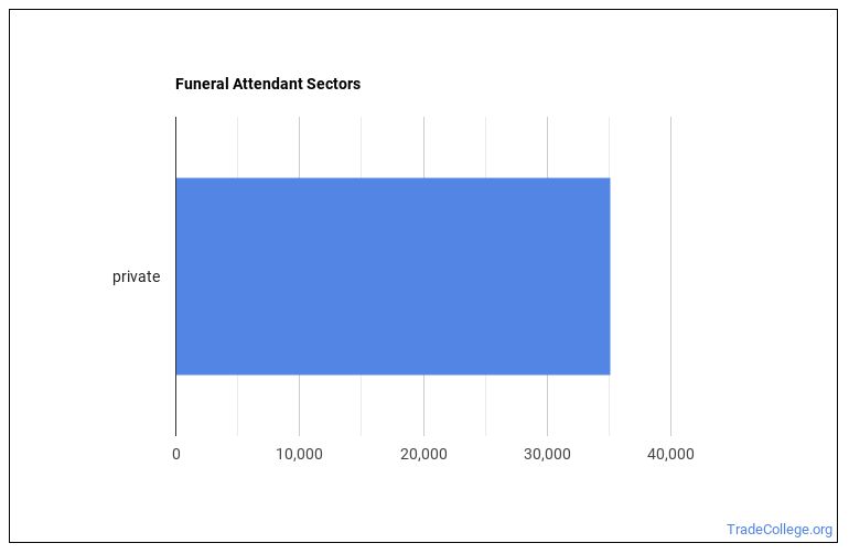 How to a Funeral Attendant & What Do They Do? Trade College