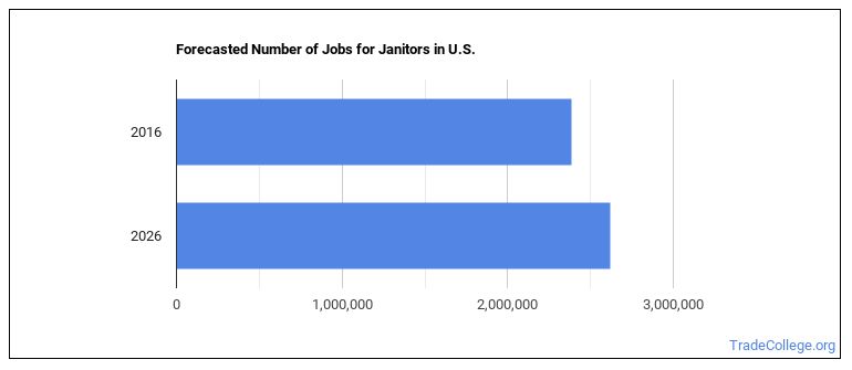 Janitors and Building Cleaners visual data 2