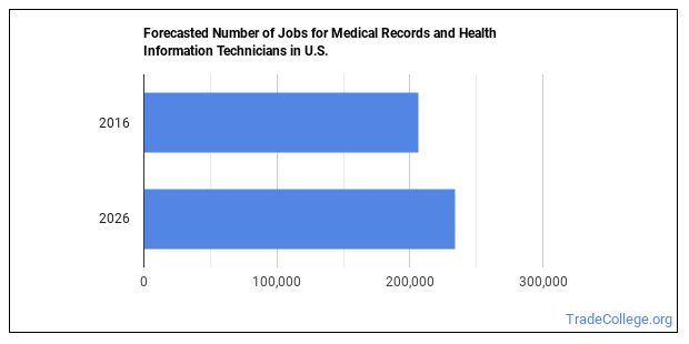 What is a Medical Records or Health Information Technician & What do ...