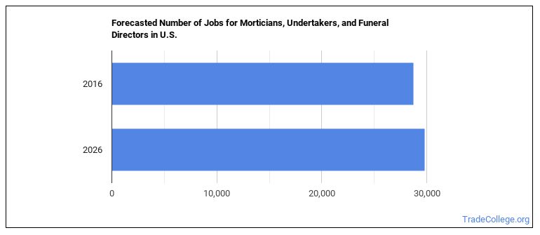 what-is-a-mortician-undertaker-or-funeral-director-what-do-they-do