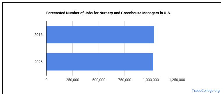 What's It Like Being a Nursery or Greenhouse Manager? - Trade College