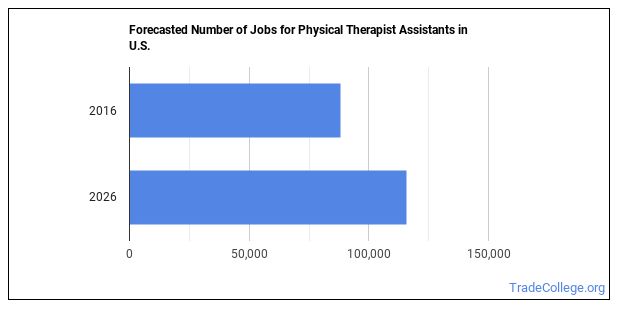 Physical Therapist Assistant Job Description And Duties Trade College