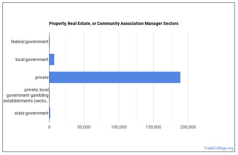 Should You a Property, Real Estate, or Community Association Manager? Trade College