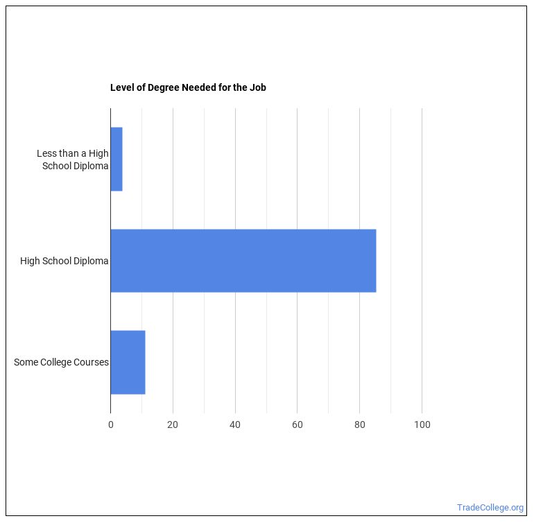 How to a Transportation Security Screener & What Do They Do