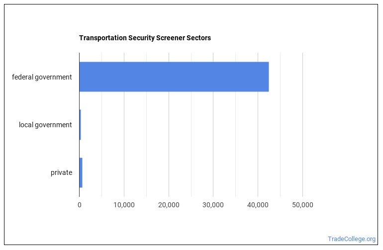 What Does a Transportation Security Screener do? Trade College