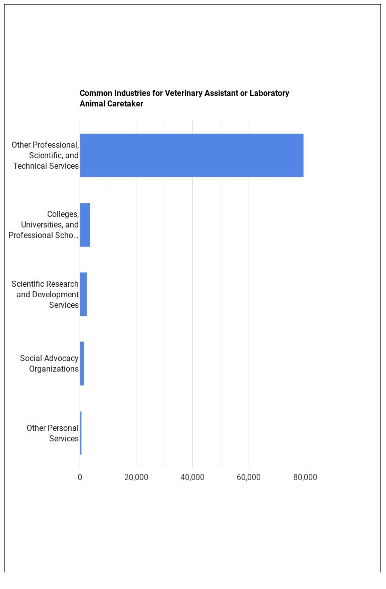 What's It Like Being a Veterinary Assistant or Laboratory Animal