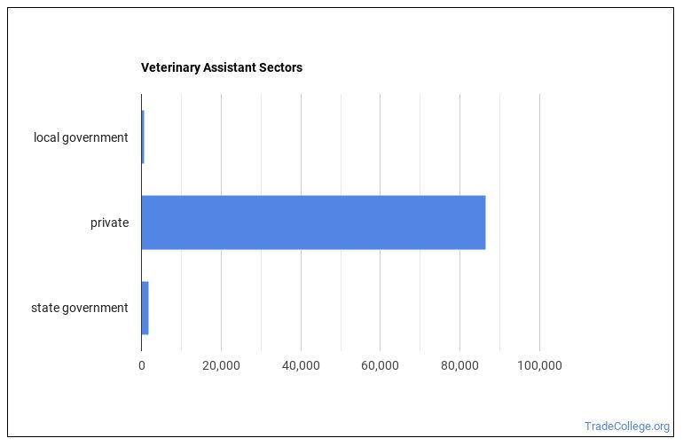 What's It Like Being a Veterinary Assistant or Laboratory Animal