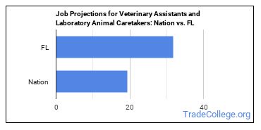 Veterinary Assistants and Laboratory Animal Caretakers in Florida - Trade  College