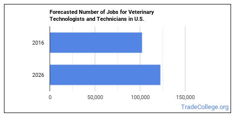 Veterinary Technologist Or Technician Job Description & Duties - Trade ...