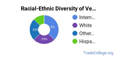 Racial-ethnic diversity of Vehicle Maintenance & Repair majors at Academy of Art University