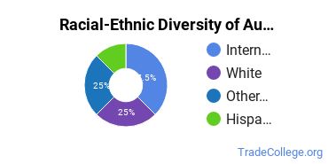 Racial-ethnic diversity of Collision & Repair Technology majors at Academy of Art University