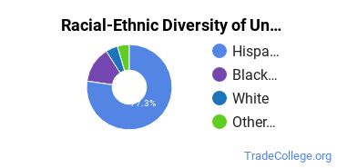 Racial-Ethnic Diversity of Agape College of Business and Science Undergraduate Students