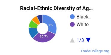 Racial-Ethnic Diversity of Agnes Scott College Undergraduate Students