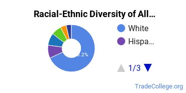 Racial-Ethnic Diversity of Allegheny College Undergraduate Students