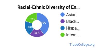 Racial-ethnic diversity of Engineering-Related Fields majors at Art Center College of Design