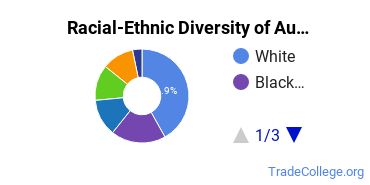 Racial-Ethnic Diversity of Augsburg University Undergraduate Students
