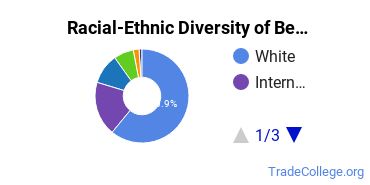 Racial-Ethnic Diversity of Bennington Undergraduate Students