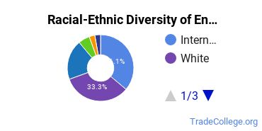 Racial-ethnic diversity of Other Engineering Technology majors at Berklee College of Music