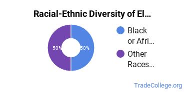 Racial-ethnic diversity of Electrical & Power Installation majors at Bladen Community College