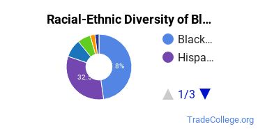 Racial-Ethnic Diversity of Bloomfield College of Montclair State University Undergraduate Students