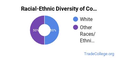Racial-ethnic diversity of Cosmetology majors at Brunswick Community College