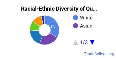 Racial-ethnic diversity of Quality Control Technology majors at California State University-Dominguez Hills