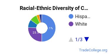 Racial-Ethnic Diversity of California State University-San Marcos Undergraduate Students