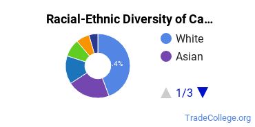 Racial-Ethnic Diversity of Case Western Reserve University Undergraduate Students
