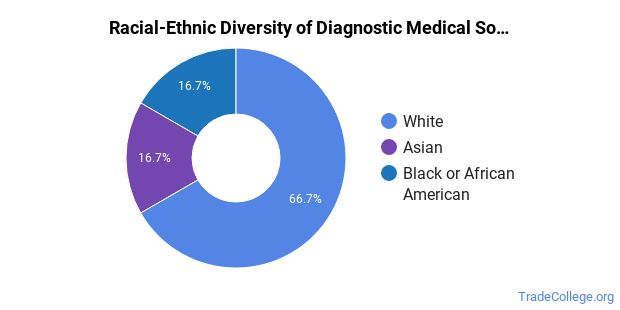 the-diagnostic-medical-sonography-sonographer-and-ultrasound-technician