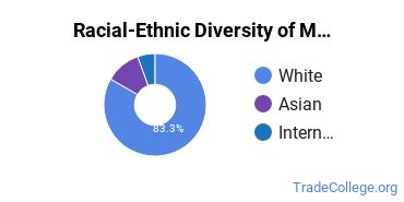 Racial-ethnic diversity of Machine Shop Assistant majors at Central Piedmont Community College