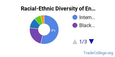 Racial-ethnic diversity of Engineering-Related Fields majors at Christian Brothers University