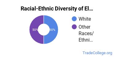 Racial-ethnic diversity of Electronics Engineering majors at Cleveland Community College