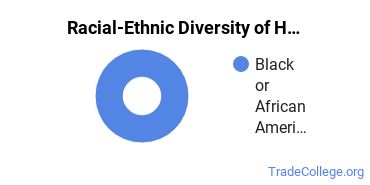 Racial-ethnic diversity of Heavy Equipment Maintenance majors at Coahoma Community College