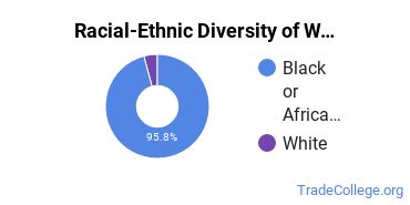 Racial-ethnic diversity of Welding majors at Coahoma Community College