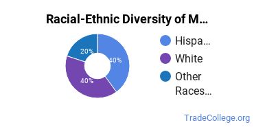 Racial-ethnic diversity of Mechanical Engineering majors at College of Lake County