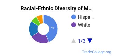 Racial-Ethnic Diversity of UMSV Undergraduate Students
