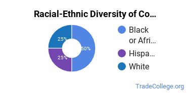 Racial-ethnic diversity of Cosmetology, Hair & Nail Instructor majors at College of the Mainland