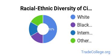 Racial-ethnic diversity of Civil Engineering majors at Columbus State Community College