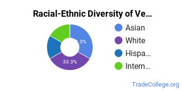 Racial-ethnic diversity of Vehicle Maintenance & Repair majors at Cosumnes River College