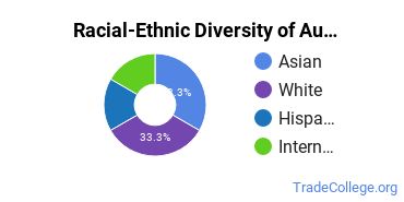 Racial-ethnic diversity of Automotive Mechanics Technology majors at Cosumnes River College