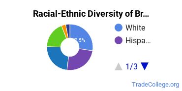Racial-Ethnic Diversity of CUNY Brooklyn College Undergraduate Students