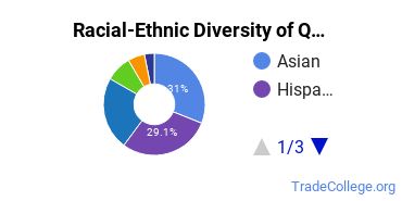Racial-Ethnic Diversity of CUNY Queens College Undergraduate Students