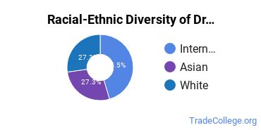 Racial-ethnic diversity of Drafting & Design Engineering majors at Eastern Michigan University