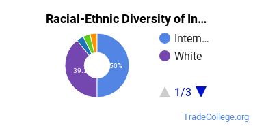 Racial-ethnic diversity of Industrial & Management Engineering majors at Eastern Michigan University