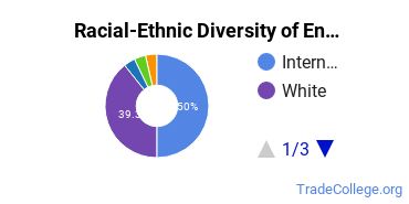Racial-ethnic diversity of Engineering-Related Fields majors at Eastern Michigan University