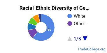 Racial-ethnic diversity of General Air Transportation majors at Embry-Riddle Aeronautical University-Worldwide